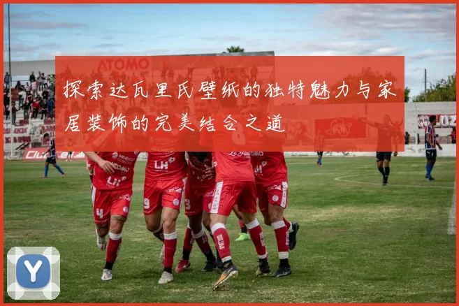 探索达瓦里氏壁纸的独特魅力与家居装饰的完美结合之道