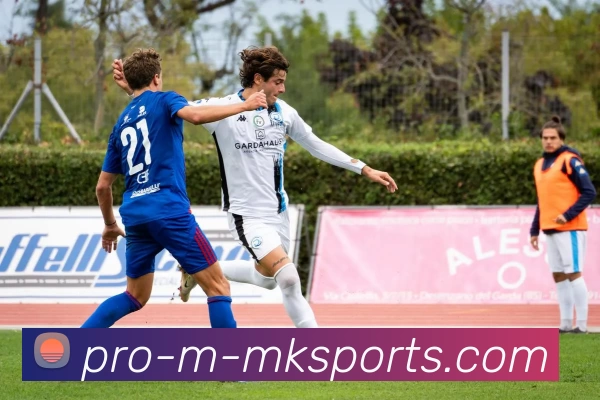 App Interface Preview