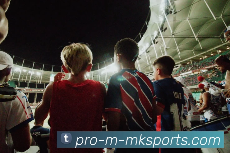 MK体育APP 封面图